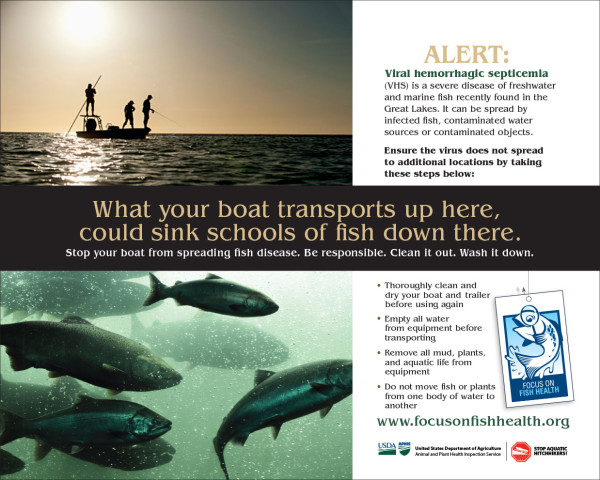 Focus On Fish Health half page ad