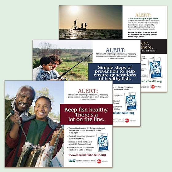 Focus on Fish Health campaign ads