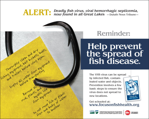 Focus On Fish Health poster