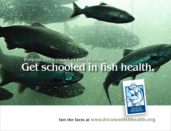 Focus On Fish Health half page ad