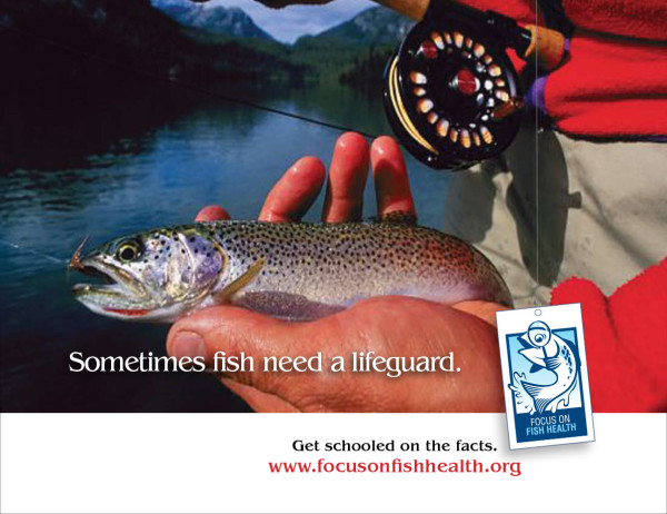 Focus On Fish Health half page ad