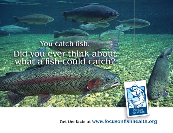 Focus On Fish Health half page ad