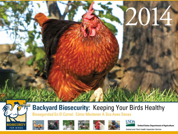 Biosecurity for Birds calendar 2014