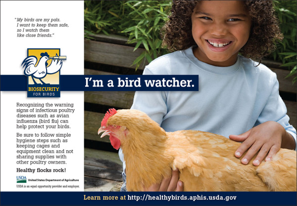 Biosecurity for Birds half page ad