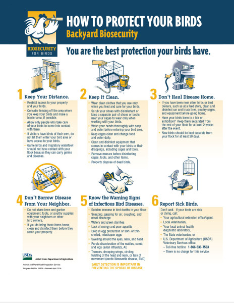 Biosecurity for Birds poster/guide