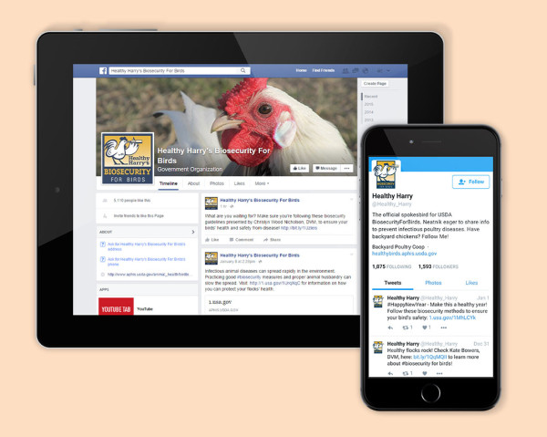 Biosecurity for Birds social media pieces