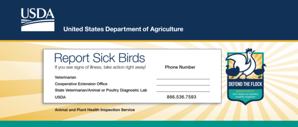 Card: Report Sick Birds