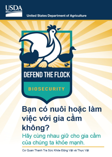 Poultry Biosecurity Info Card | Vietnamese